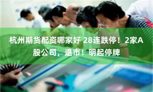 杭州期货配资哪家好 28连跌停！2家A股公司，退市！明起停牌